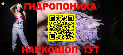ПСИЛОЦИБИНОВЫЕ ГРИБЫ Камышлов