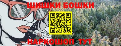 ПСИЛОЦИБИНОВЫЕ ГРИБЫ Камышлов