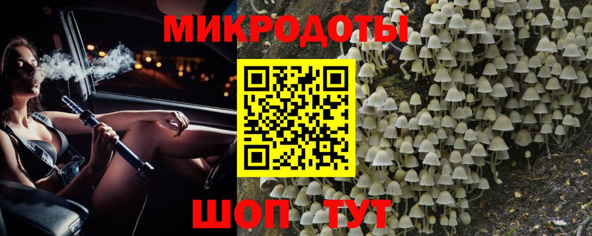 Галлюциногенные грибы Psilocybe Петропавловск-Камчатский