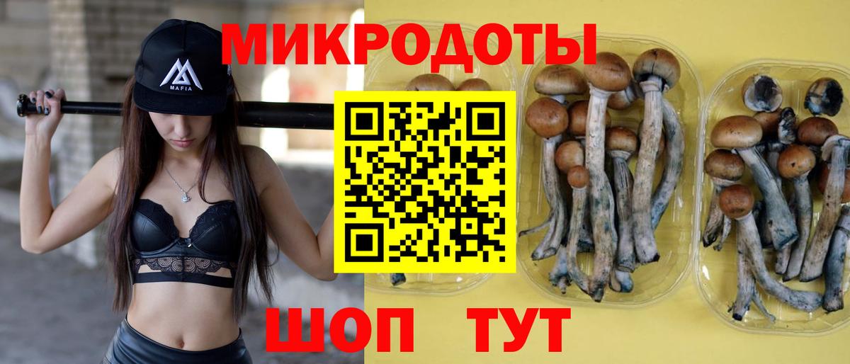 Псилоцибиновые грибы GOLDEN TEACHER  Вход с VPN  Псилоцибиновые грибы мицелий  Петропавловск-Камчатский 