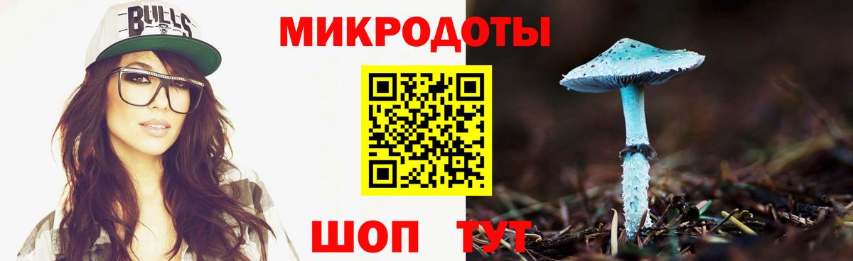 Галлюциногенные грибы Cubensis  Псилоцибиновые грибы Cubensis  Петропавловск-Камчатский 