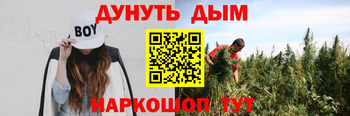 Шишки марихуана гибрид  Конопля Bruce Banner  Бошки Шишки тримм  Вход с VPN  Петропавловск-Камчатский  Марихуана сатива 